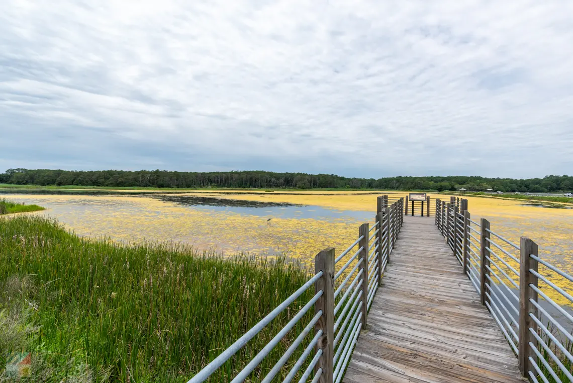 Huntington Beach State Park SC