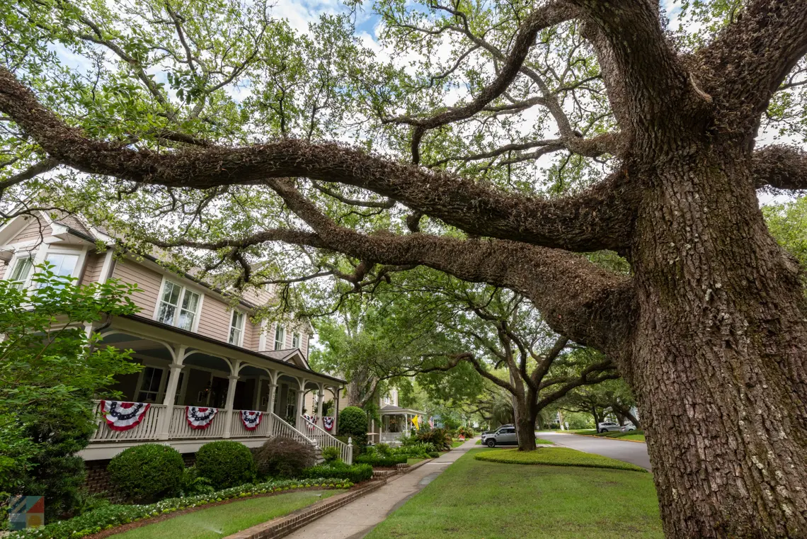 Advertise with Us - Georgetown-SC.com