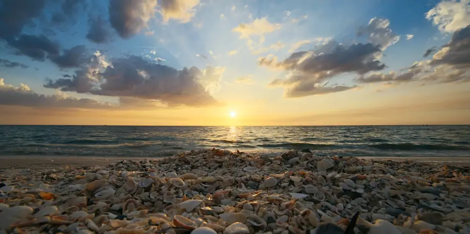 Lighthouse Shell Tours